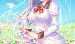 二次元动漫少女,二次元少女的奇幻冒险之旅